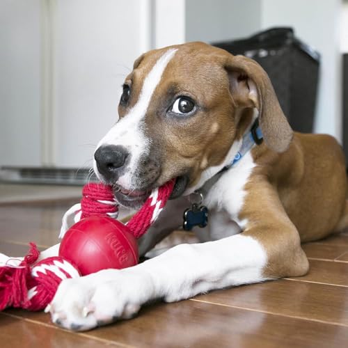 KONG Ball mit Seil - Hundespielzeug mit Seil für einfaches Werfen - Aus strapazierfähigem Naturkautschuk - Für Kleine Hunde - Rot