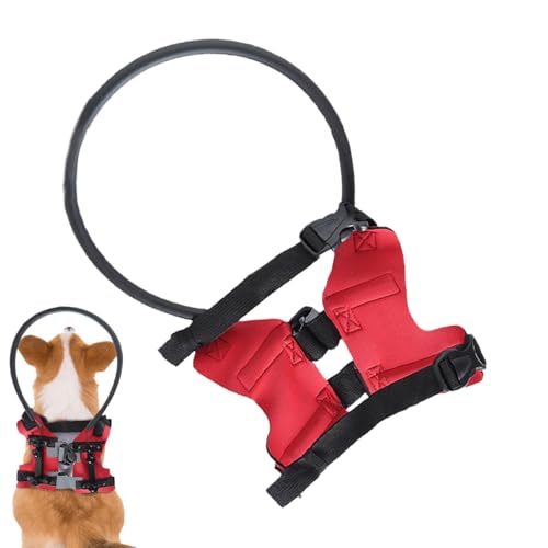 Protecteur Anti-Collision pour Chien Aveugle | Anneau de Protection pour Chien Malvoyant | Collier Pare-Chocs Réglable Accessoires De Sécurité pour Renforcement Confiance des Chats