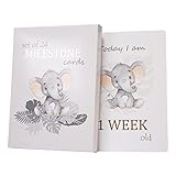 Happy Homewares Cute Baby Elephant