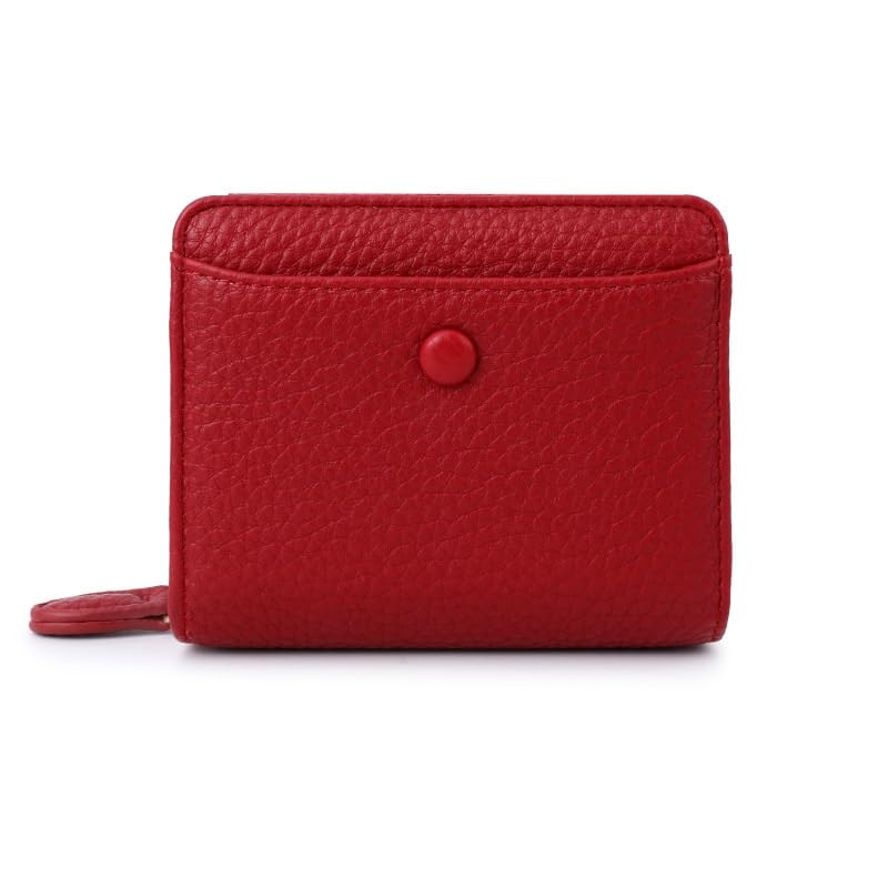 PU Leather for Women Wallet Luxury Envelope Card Holder Coin Cowhide Short Purse(White-Dinosaur Doodle4)