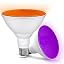 Orange Purple