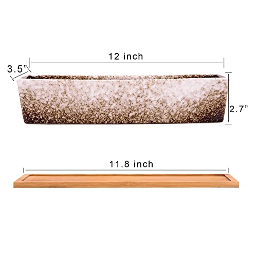 Artketty Succulent Pots - Large Succulent Planter Pots With Drainage, 12 Inch Long Rectangle Bonsai Pot With Bamboo Tray Shallow Ceramic Cactus Flower Planter Window Box For Home Garden Decor (White) #TOP2