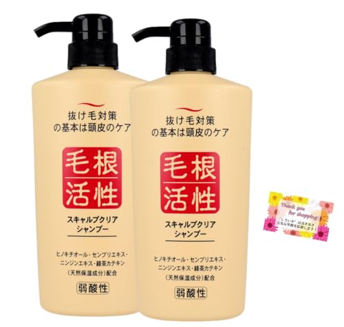 э XLvNA Vv[ ё΍ _ Ff tbV}̍ 550mL y2Zbgz