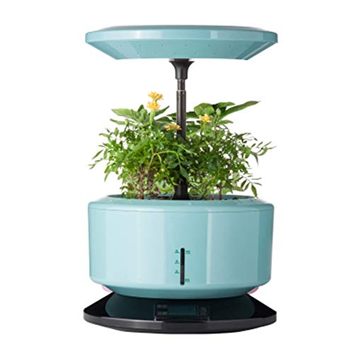 Automatic Vegetable Growing Machine, 6-piece Indoor Garden Kit1 Machine 2 With Soilless Cultivation Equipment 3 Holes Blue