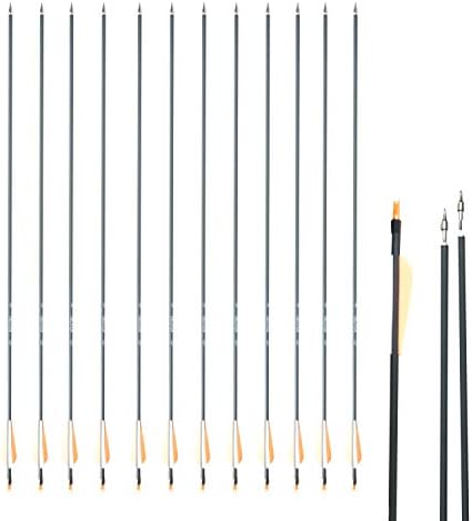 SAS Oblivion 30″ Carbon Arrow 500 with 3″ Vanes or 4″ Feathers (12/Pack) Fletched with Extra 6xNocks + Replaceable Points (100-Grain) with O-Ring + Protect Sleeve + Plug Nock for Hunting Youth/Adults SAS Oblivion 30″ Carbon Arrow 500 with 3″ Vanes or 4″ Feathers (12/Pack) Fletched with Extra 6xNocks + Replaceable Points (100-Grain) with O-Ring + Protect Sleeve + Plug Nock for Hunting Youth/Adults