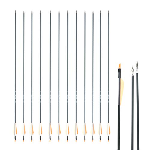 Sas Oblivion 30" Carbon Arrow 500 With 3" Vanes (12/Pack) Fletched With Extra 6Xnocks + Replaceable Points (100-Grain) With O-Ring + Protect Sleeve + Plug Nock For Hunting Youth/Adults - (3" Vanes) #TOP20