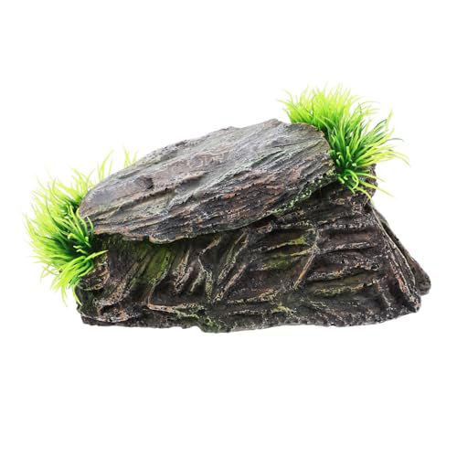 DEARMAMY ঒ރVF^[ ঒މB AfUC T^N ̉Bꏊ gJQ T VvŃ_ȐCeA