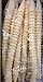 Dinky Dippers Miniature Ice Cream Cones Bulk Pack 450 Count Bundled with 20ct Dental Flossers in a Prime Time Direct Sealed Box