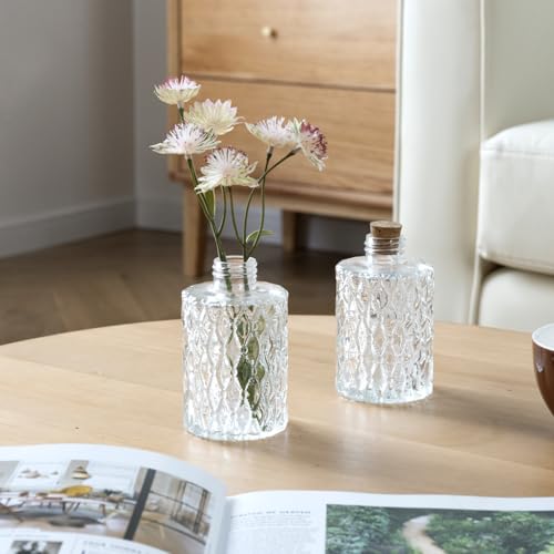 MyGift Small Clear Glass Reed Diffuser Bottles, Vintage Embossed Apothecary Style Flower Bud Vases with Cork Lids, Set of 2
