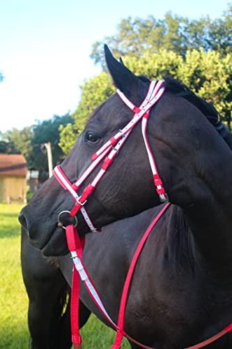 Tack Shack Of Ocala Nylon Race Reins, Race Reins, Nylon Reins, Reins For Horses, Nylon Reins For Horses, Buckle End Reins, Loop End Reins #TOP1