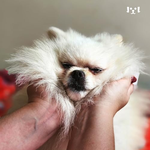 Dedal Care Orelha Limpa Cães e Gatos 30un - PetClean - Orelha Limpinha Ouvido