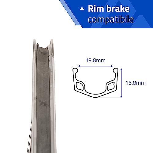 Rcg, Sw20-26, Wheel, Front, 26'' / 559, Holes: 36, Bolt-On, 100Mm, Rim #TOP3