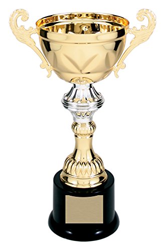 Decade Awards Cup Trophy, Gold and Silver | Metal Corporate Cup Award - 10 Inch Tall - Engraved Plate on Request