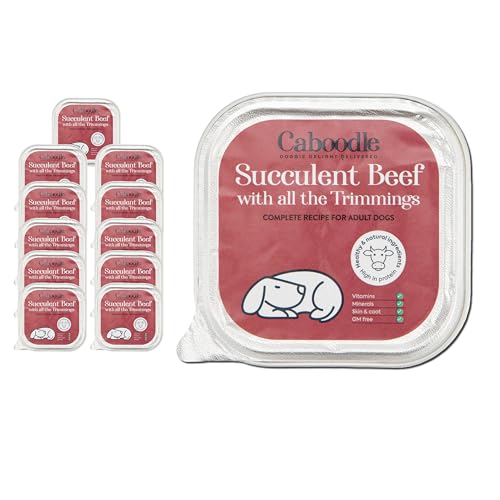 CABOODLE Dog Food, grain-free, complete wet dog food box of 10 for adult dogs, Meal Prep for adult Dogs, Made with Nutritious Ingredients, Rich in Omega-3 Wet Dog Food Trays (Pack of 10 x 150g, Beef)