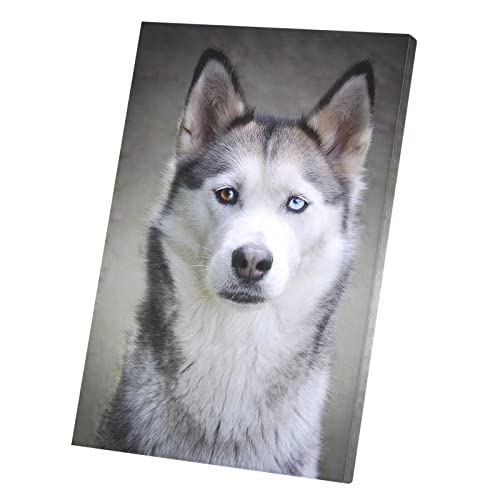 Tableau Husky toile imprimée 40x59cm portrait de grand chien