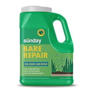 Sunday Bare Repair Sun and Shade Grass Seed Spot Treatment – Grass Seed for Shade and Hard to Grow Areas – Lawn Patch Repair That Works in 14 Days or Less – 3.75lb Jug (Covers 55 Sq Ft)
