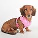 Puppia Dotty Dog Harness Over-The-Head No Pull No Choke Walking Training Adjustable for Small & Medium Dog, Small, Pink