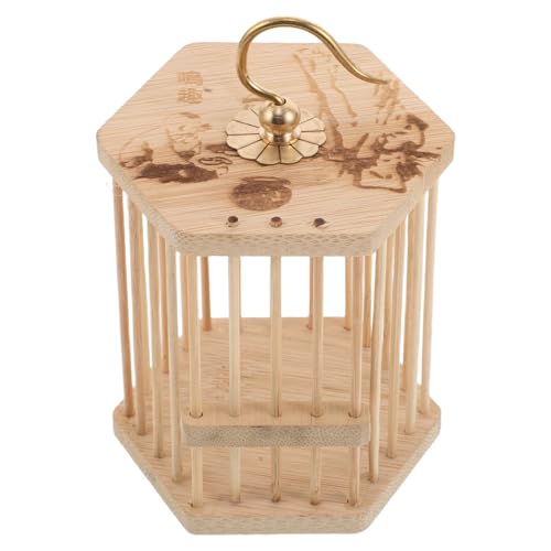 Boîte d'observation pour insectes en bambou facile à nettoyer
