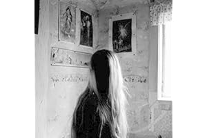 Miraculous: Legendary & Black & Silver Marble