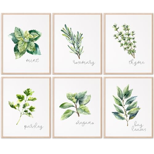 Kitchen Herbs Art Prints - Botanical Prints (Set of 6)
