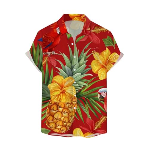 [Chenyoulan] Y 㒅 Vc  Y Vc    AnVc  ĕ a ԕ  nC Jbg\[ JWA jp  s ][g r[` CM