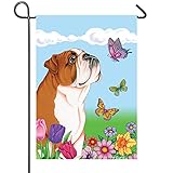 Best of Breed