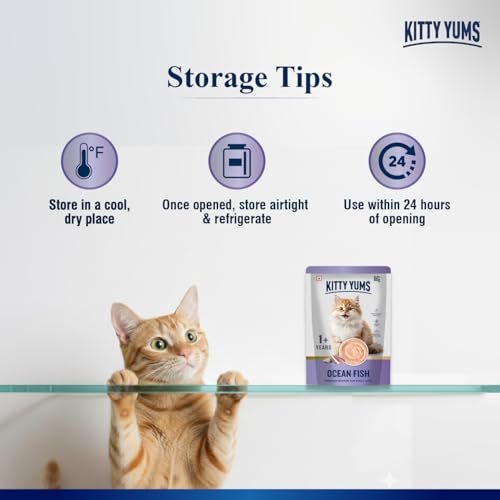 Image of Kitty Yums Adult Cat Wet Mousse 80g(4+1) Pack of 5, 400g | Ocean Fish | Rich in Protein | Promotes Hydration & Easy to Digest | No Artificial Flavours | Packed with Essential Vitamins & Antioxidants