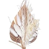 The Baked Studio - Fiori secchi per decorazioni di torte e artigianato con un Moche Latte & Gold Ombre Palm Spear (Mocha Latte)