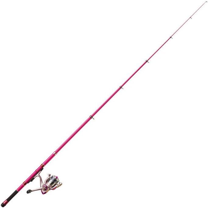 PRO MARINE Vivid Compact Set 240P 331782 Promarine Fishing Rod Stopping Sabiki Set Compact