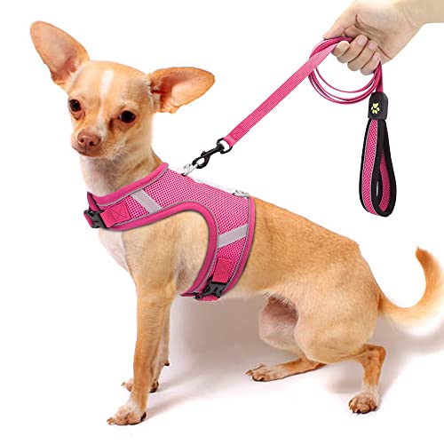 Arnés de Malla Transpirable para Perros y Gatos, Conjunto de Correa, Chaleco de arnés de Nailon Reflectante para Cachorros, Correa Ajustable para Caminar para Perros pequeños y medianos