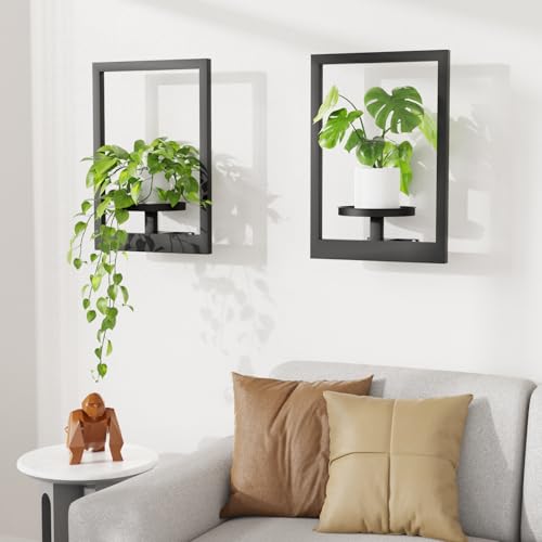 Duxeuwe Picture Frame Wall Plant Holder, Metal Window Plant Shelves Plant Holder for Indoor Plants,...