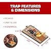 Tomcat Mouse Traps (Wooden), Inexpensive, Effective Way to Catch Mice in the Home, 2 Traps
