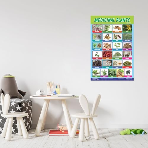Image of ESCAPER Medicinal Plants Educational Charts for Kids, Charts for Kids Learning (11.5 x 17.5 inches), Kids Study Material, Kids Learning Books, Educational Posters