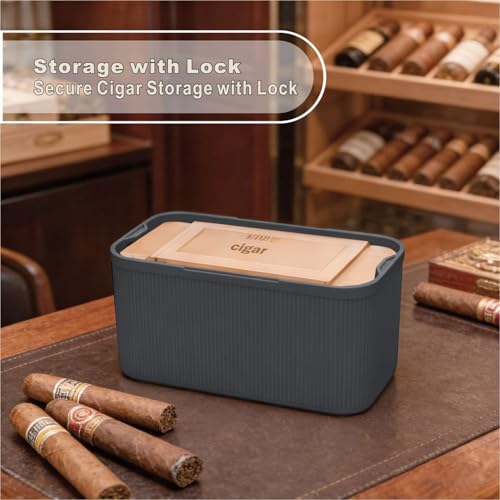 Image of SANIDIKA Lockable Storage Box, Locking Medicine Box, Cell Phone Locked Jail, Food Medical Lockbox, Containers Bin for Personal Refrigerator Home Office Organization Travel Farther Gift (Navy Plus)