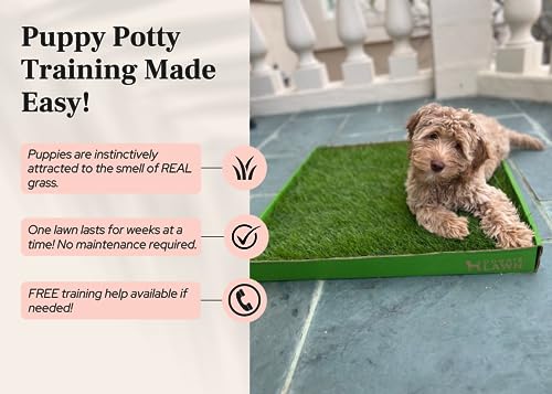 DoggieLawn Real Grass Puppy Pee Pads - Indoor Litter Box for Puppies- No-Mess, Easy Potty Training for Young Pets - Disposable Bathroom with Living Grass (24x24) - Thumbnail 3