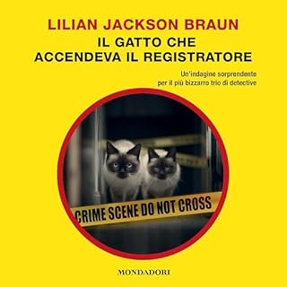 Il gatto che accendeva il registratore cover art