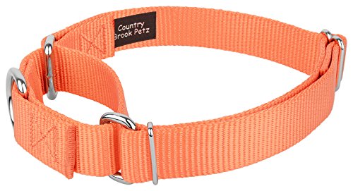 Country Brook Petz - Mango Martingale Heavy Duty Nylon Dog Collar - 21 Vibrant Color Options (1 Inch Width, Large) #TOP5