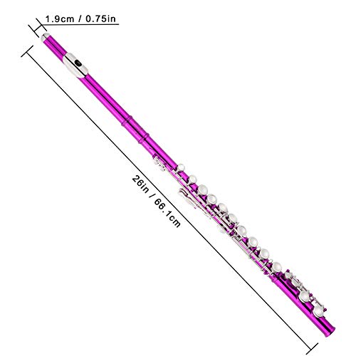 Eastrock Closed Hole Flutes C 16 Key For Beginner, Kids, Student -Nickel Flute With Case Stand And Cleaning Kit (Pink) #TOP3