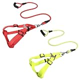 2 Piezas Juego de Arnés y Correa para Perro, Arnés Ajustable y Cómodo para Perros Extra Pequeños, Pequeños y Medianos