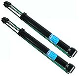  2x SACHS 556277 Stoßdämpfer Hinterachse für A6 (4B2, C5) Bj. 01.97-01.05
