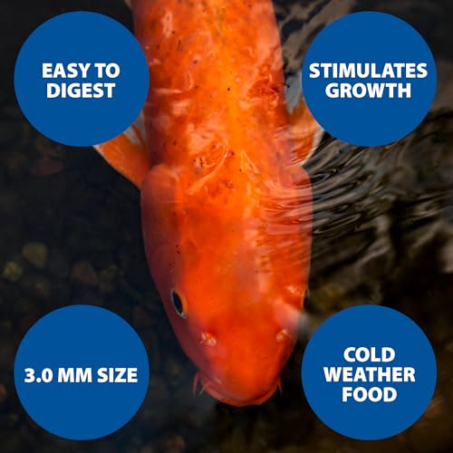 The Pond Guy Spring & Fall Wheat Germ Fish Food for Koi & Goldfish, Premium Cold Weather Floating Pellets, Healthy Formula for Winter Nutrition, 2 lbs
