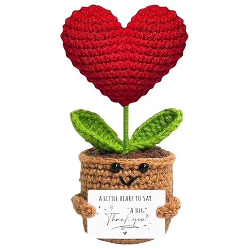 MJSXY Handmade Positive Heart Crochet - Thank You Gift for Women, Goodbye Gift, Welcome Back Present for Coworkers, Uplifting Gifts for Women, Goodbye Gifts for Coworkers