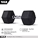 Day 1 Fitness Rubber Hex Dumbbell Shaped Heads to Prevent Rolling and Injury - Ergonomic Hand Weights for Exercise, Therapy, Building Muscle, Strength and Weight Training - 10 lb Single