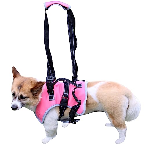 Top 10 Harnesses for Dogs Missing a Front Leg The Ultimate Buying