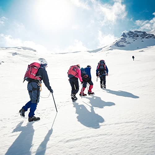 Fitrell 2 Pack Men's Ski Socks Full Cushioned Winter Wool Thermal Knee High Warm Socks For Skiing Snowboarding, Grey, Large, Shoe Size 9-12 #TOP6