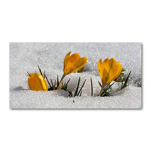 Crédence de cuisine en verre trempé 100x50cm splashback lavable motif fleurs jaunes