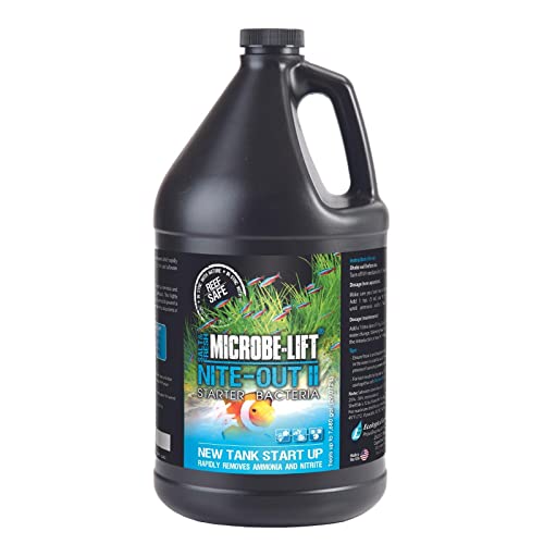 Microbe-Lift Nite-Out II 3.785L Starter Bacteria