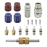 17PCS Car Air Conditioning Valve Core Kit, R12 R134A Teflon Seal Cap Valve Kit with Removal Tool for High Low-Pressure A/C Service Port, Car & HVAC AC Refrigerant Tool (Red)