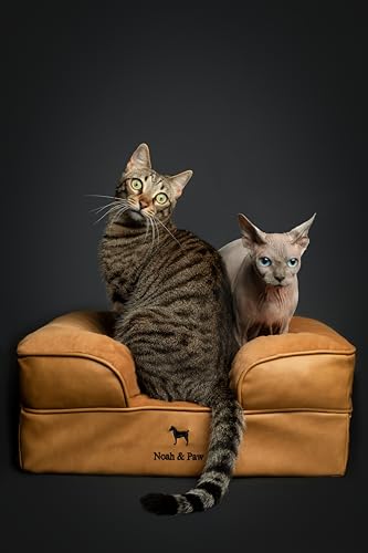 Image of NOAH & PAW Small Dog Bed, 20x15x8 Inch, Cat Bed for Indoor Cats, Orthopedic Eggshell Memory Foam Infused with Cooling Gel, Water Resistant Inner Cover Machine Washable (Faux Leather)