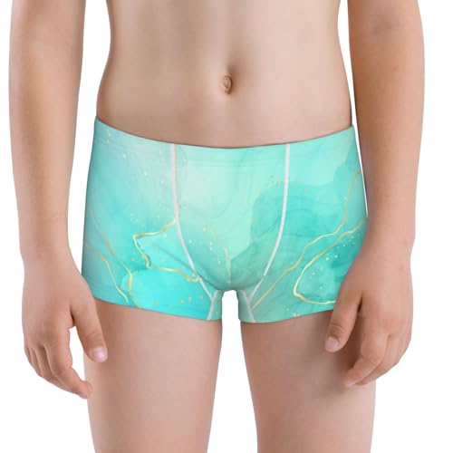 Boys' Cotton Boxer Brief Soft Underwear-Cyan Mint Marble